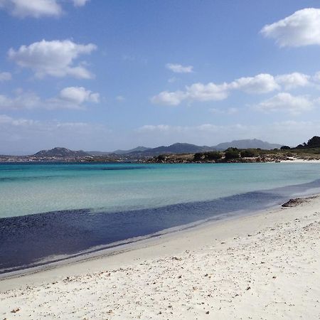 Luxury Apartment Sardegna مارينا دي بورتيسكو الغرفة الصورة